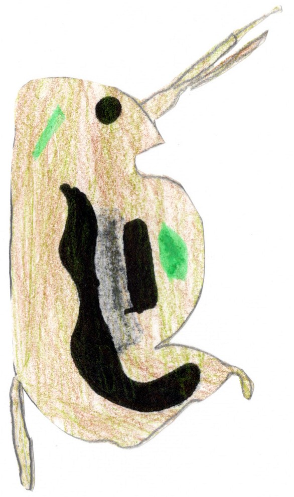 プランクトン画像