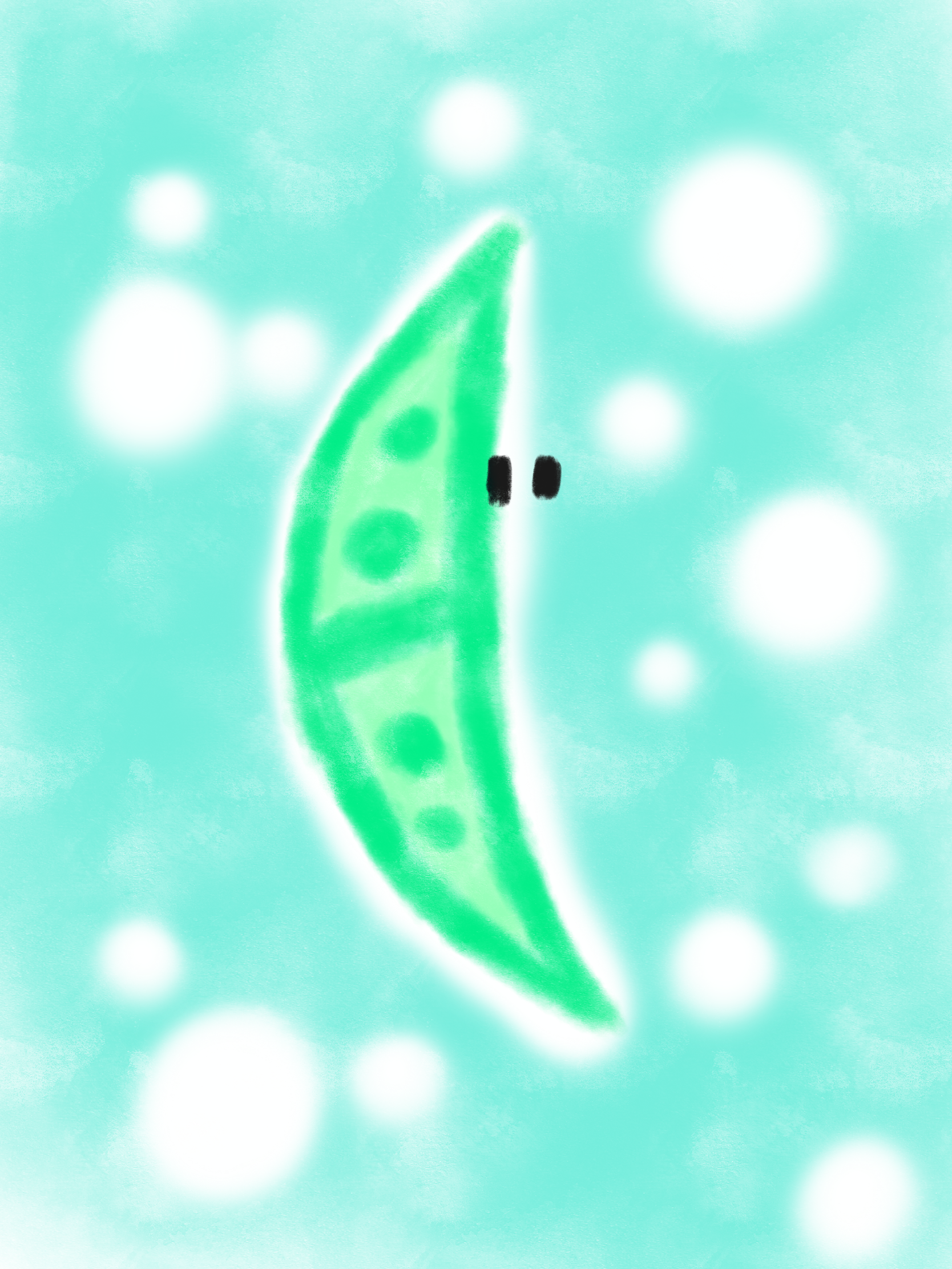 プランクトン画像
